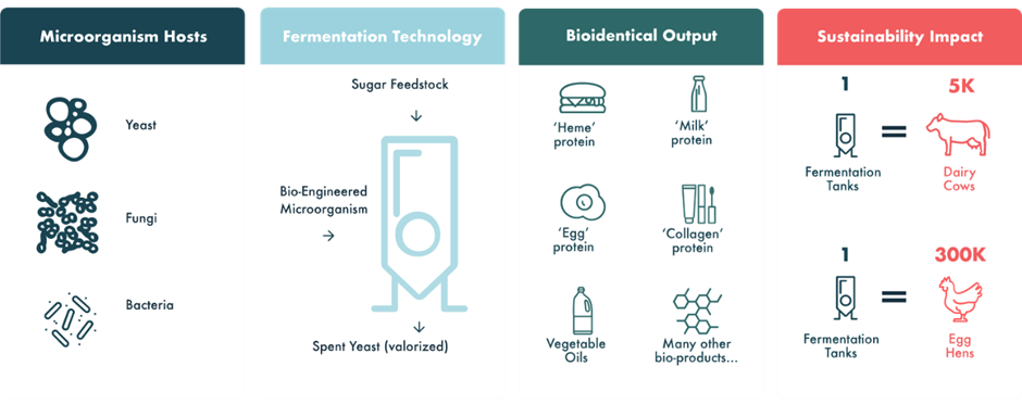 Can Precision Fermentation together with Synthetic Biology Help to Secure Our Food Systems?