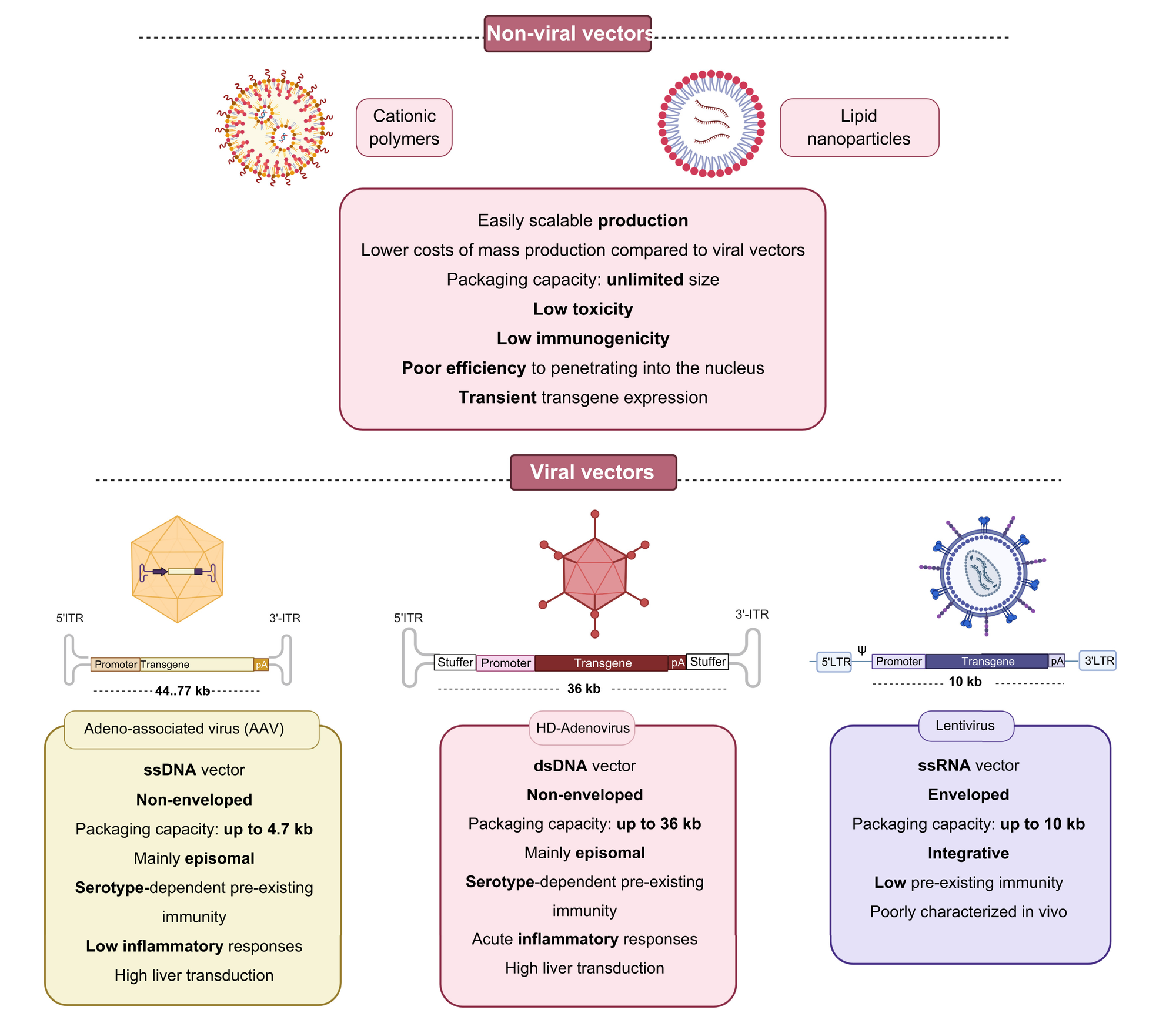 A summary of viral and non-viral delivery systems for gene therapy
