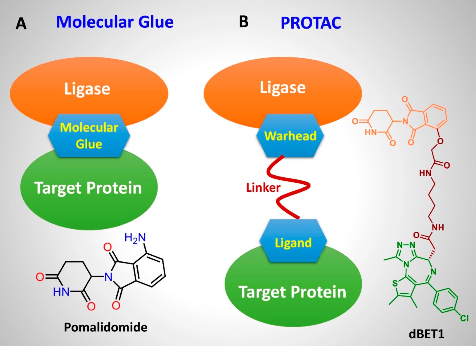 Different protein degradation technologies