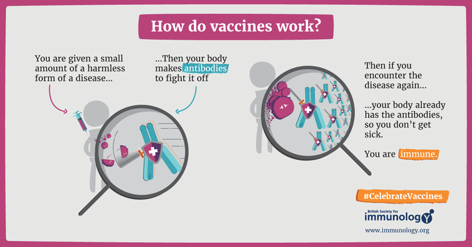 How do vaccines work