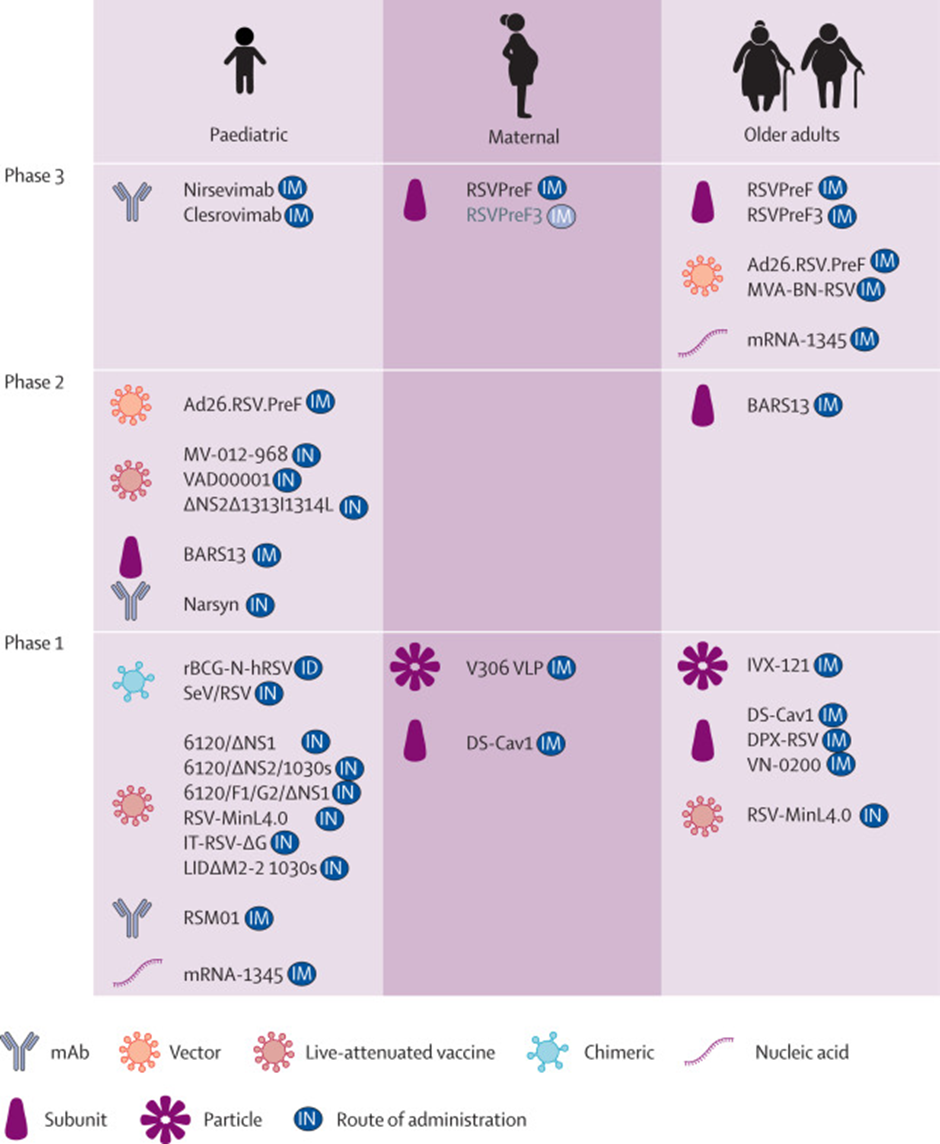 RSV vaccine and monoclonal antibody agents by the target population