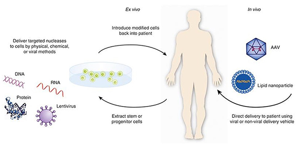 All you need to know about Gene Therapy