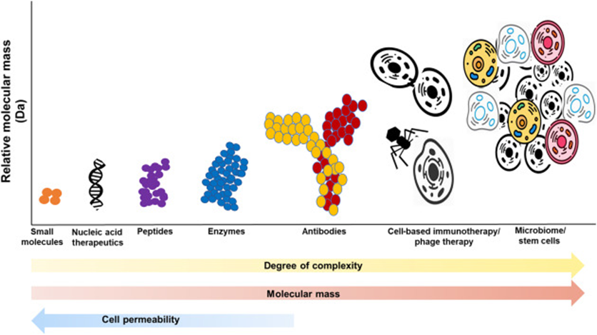 The relative mass, cell permeability and complexity of different therapeutic modalities