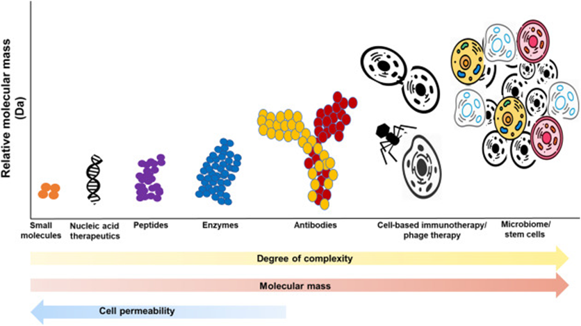 Exploring Drug Modalities: Small Molecules, Biologics, RNA, Cell & Gene Therapy