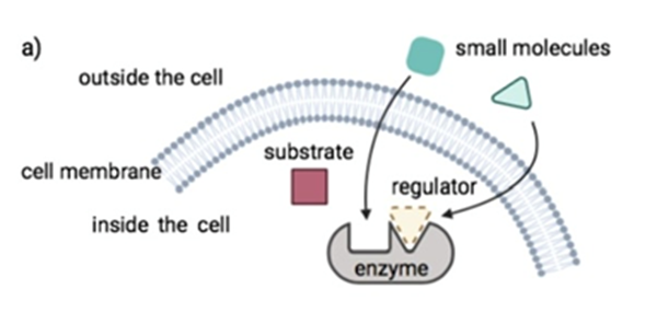 Exploring Drug Modalities: Small Molecules, Biologics, RNA, Cell & Gene Therapy