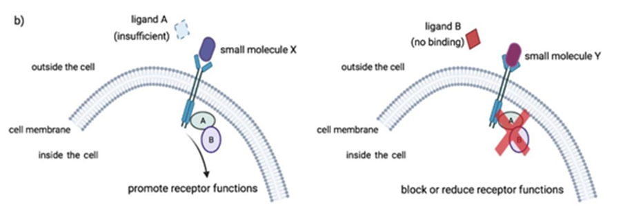 Exploring Drug Modalities: Small Molecules, Biologics, RNA, Cell & Gene Therapy