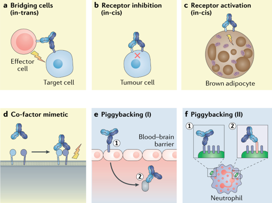 Exploring Drug Modalities: Small Molecules, Biologics, RNA, Cell & Gene Therapy