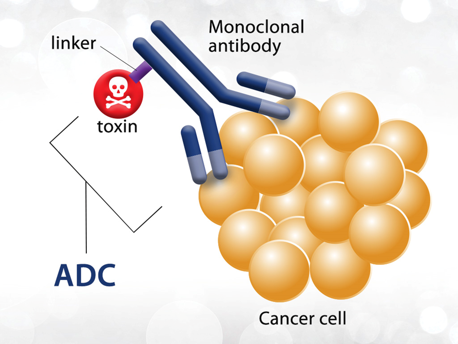 Exploring Drug Modalities: Small Molecules, Biologics, RNA, Cell & Gene Therapy