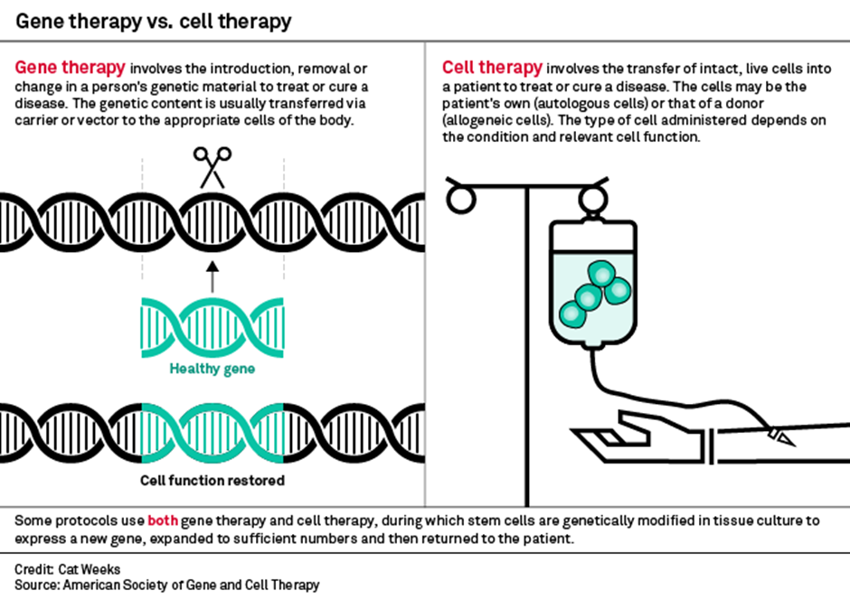 An overview of the difference between Gene Therapy and Cell Therapy
