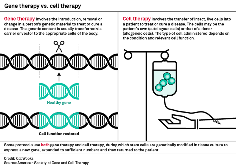 Exploring Drug Modalities: Small Molecules, Biologics, RNA, Cell & Gene Therapy