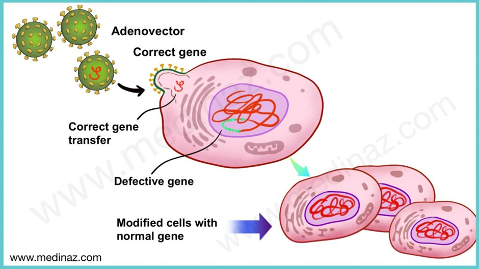 Exploring Drug Modalities: Small Molecules, Biologics, RNA, Cell & Gene Therapy