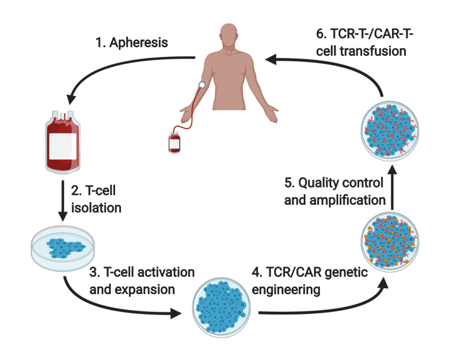 Exploring Drug Modalities: Small Molecules, Biologics, RNA, Cell & Gene Therapy