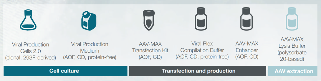 TMO Gene Therapy products