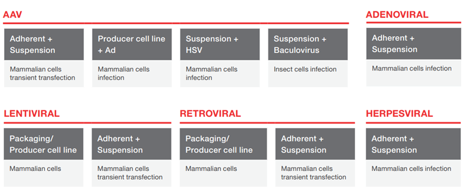 TMO Gene Therapy platforms