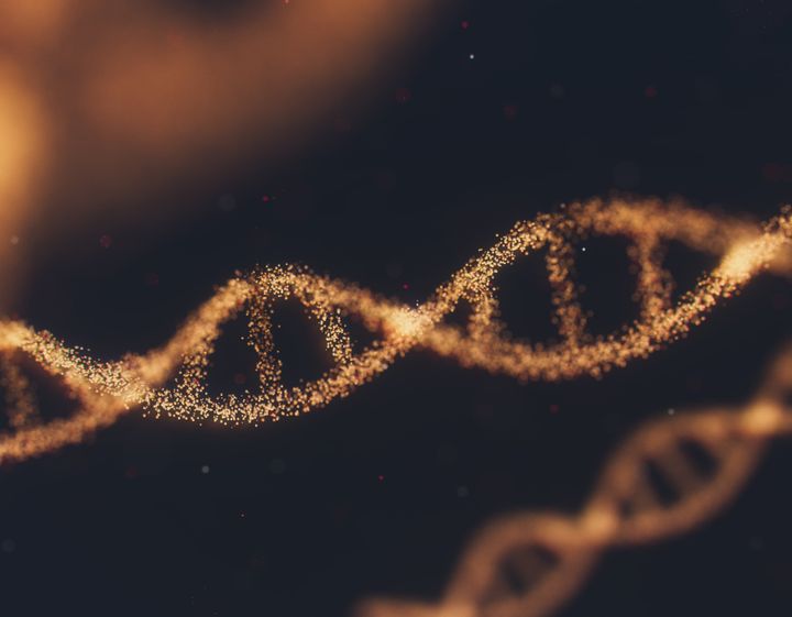 Your guide to the current and future applications of DNA Sequencing