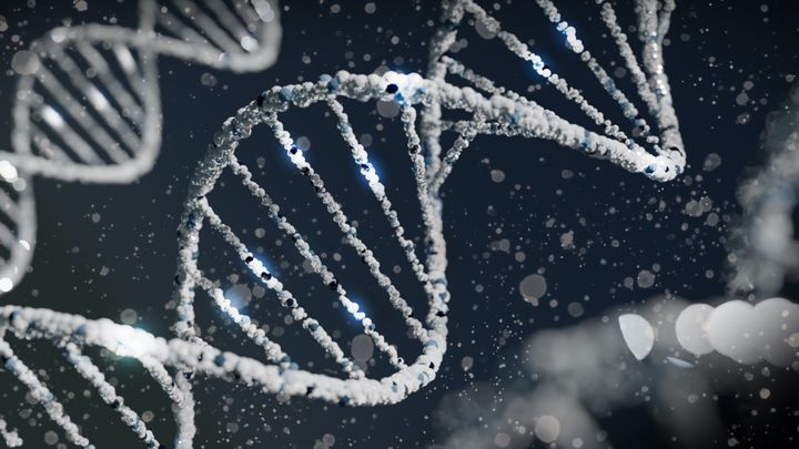 A quick overview of DNA and DNA sequencing - ILMN, PACB and ONT